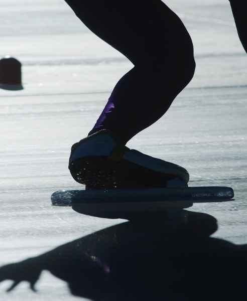 Merchandising Excellence